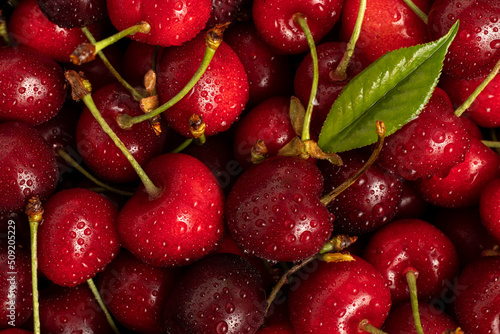 Fotografija Sweet red cherries with water drops close up.