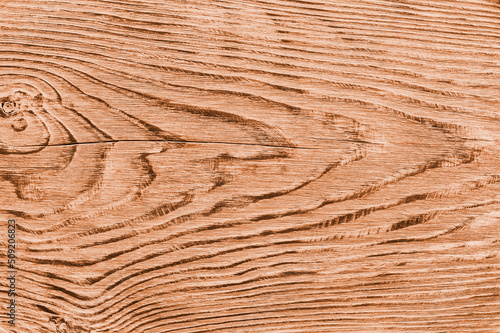 Wallpaper Mural A beautiful wooden lumber background with a pattern of rings in the center. Template for an inscription. Layout for design. defocus Torontodigital.ca