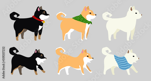 柴犬セット