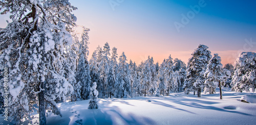 Obraz na płótnie Winter snow landscape in Finland, Lapland. w salonie