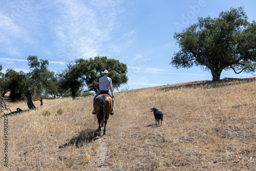 Dog Following Owner on Horseback on Ranch