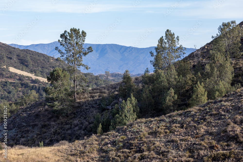 Los Olivos California, Landscape of Mountain Terrain