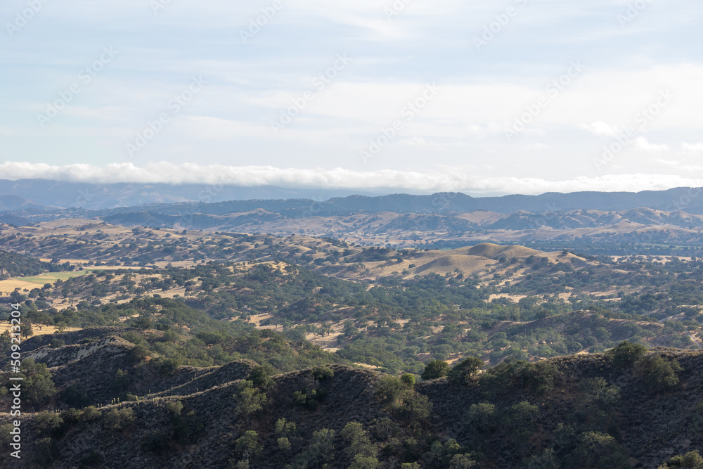 Los Olivos, California Landscape