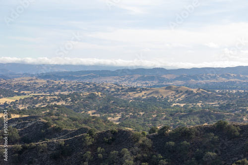 Los Olivos, California Landscape