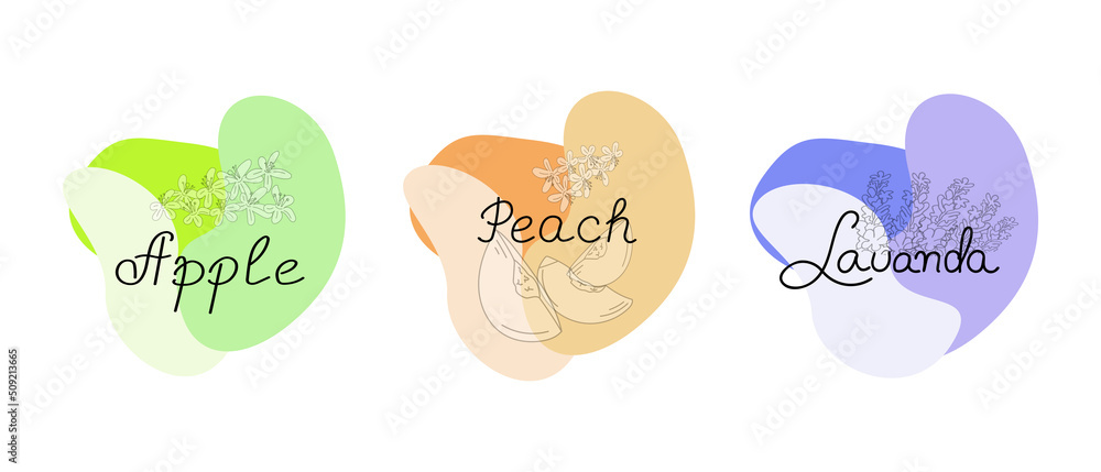 A set of abstract shapes with inscriptions Lavender, Peach, Apple. Pieces of peach, flowers. Vector illustration for packaging design of candles, perfumes, aromas, for a banner, postcard, logo.