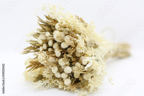 Bouquet fleurs séchées - Fond blanc