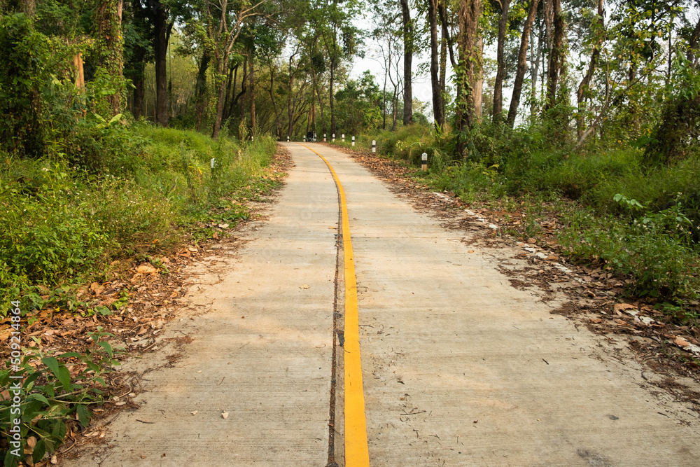 Thailand country road landscape.Traveler journey by roads.the scenery of the country road Thailand country road landscape.Traveler journey by roads.the scenery of the country road