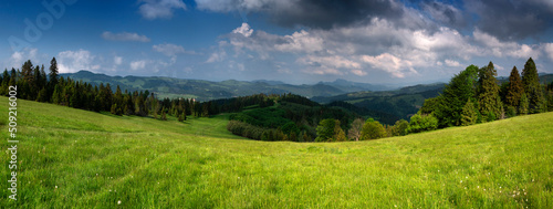 Panorama na Pieniny - szlak Jaworki Obirza