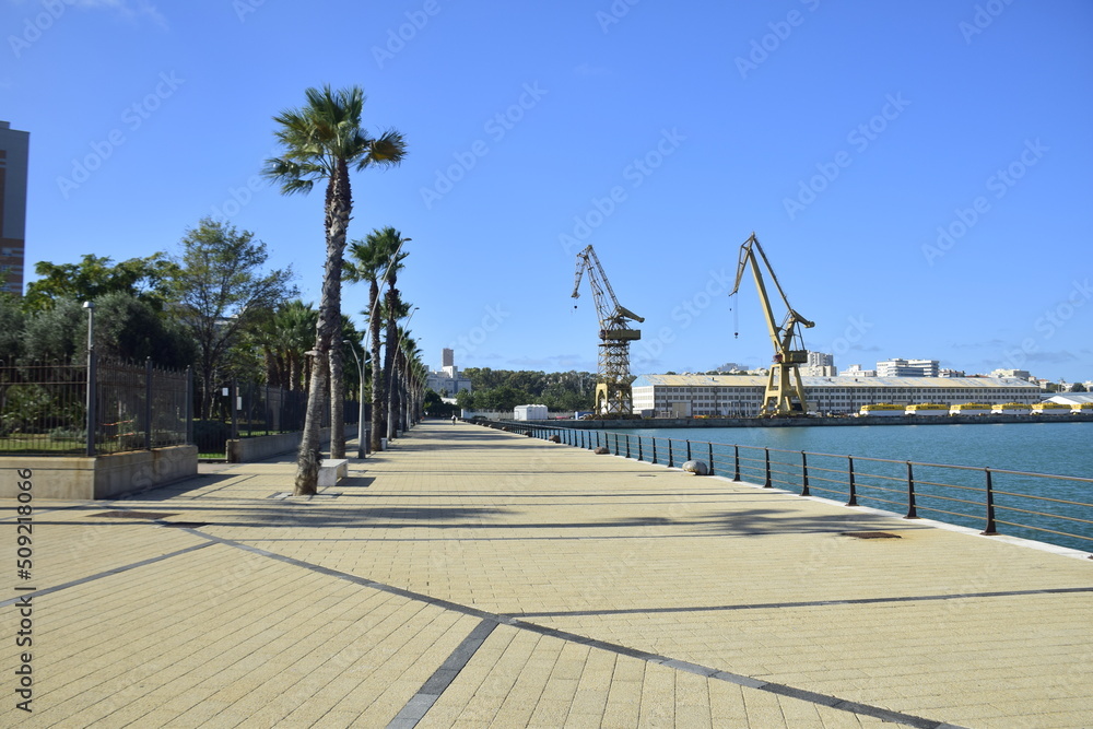 Cadiz, Spain - 06 november 2019: Paved embankment with tall palm trees