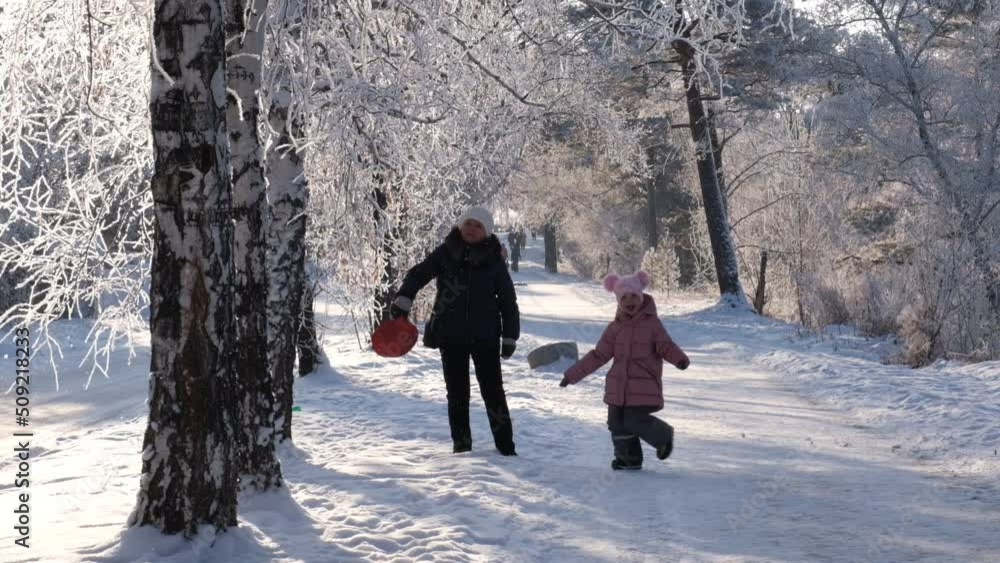 Grandmother with granddaughter walking in snow on nice winter day. Happy winter day