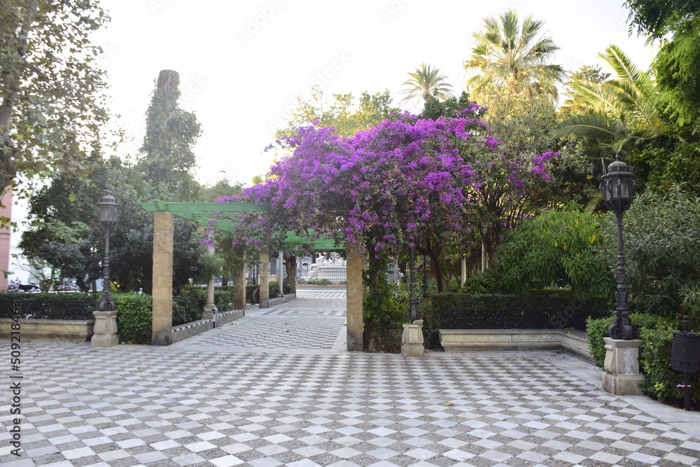 Alameda de Apodaca, a public park and an example of the eclectic style of Regionalism in Cadiz, with giant Ficus trees and a bench decorated with Seville ceramic tiles. Andalucia, Spain.