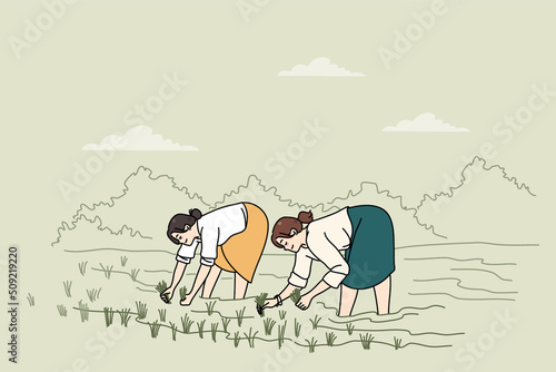 Women standing in water on plantation working on rice field. Female employees farming on organic farmland. Agriculture and manual labor. Vector illustration. 