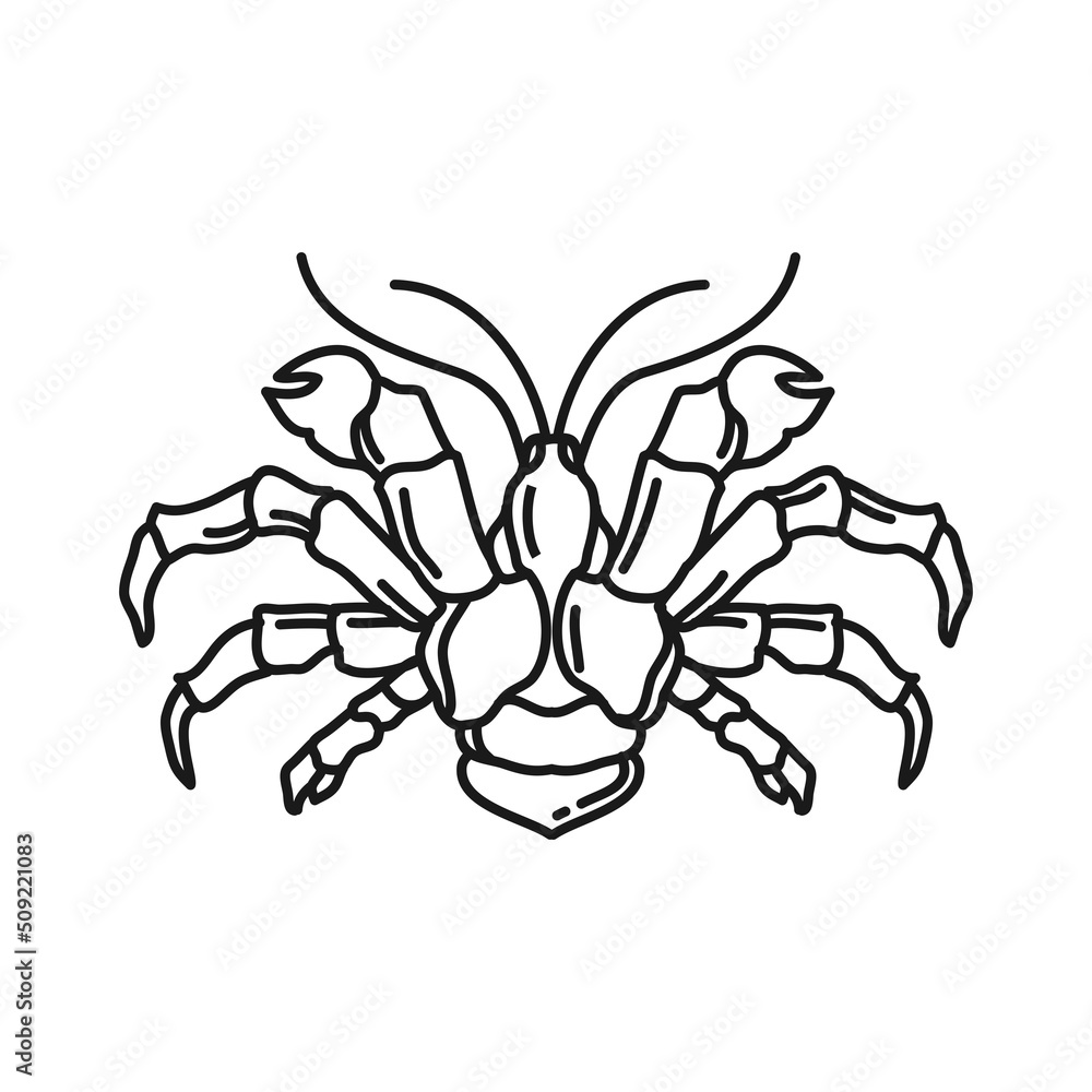 coconut crab logo design. Coconut crab silhouette line vector icon. Isolated ocean animal line on white background coconut crab logo design. Coconut crab silhouette line vector icon. Isolated ocean animal line on white background