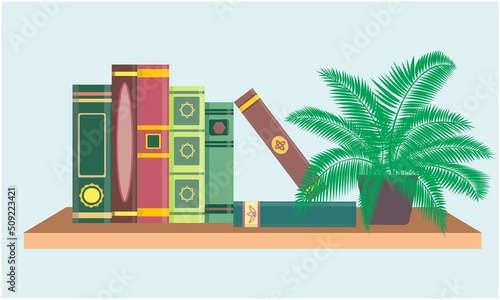 Colorful books on wooden wall bookshelf, shelves template, flower on the bookshelf. Vector illustration for knowledge,  education and design.
