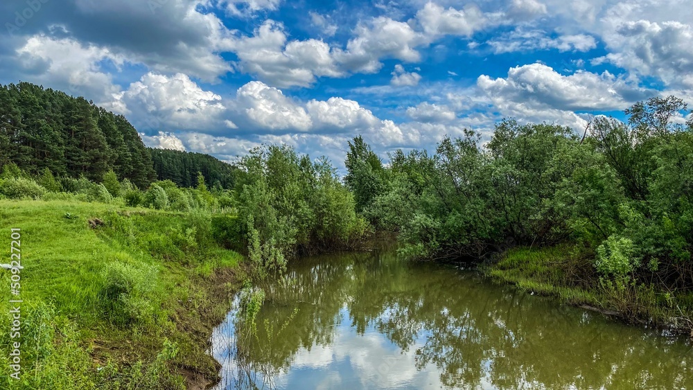 Forest Siberian river Forest Siberian river