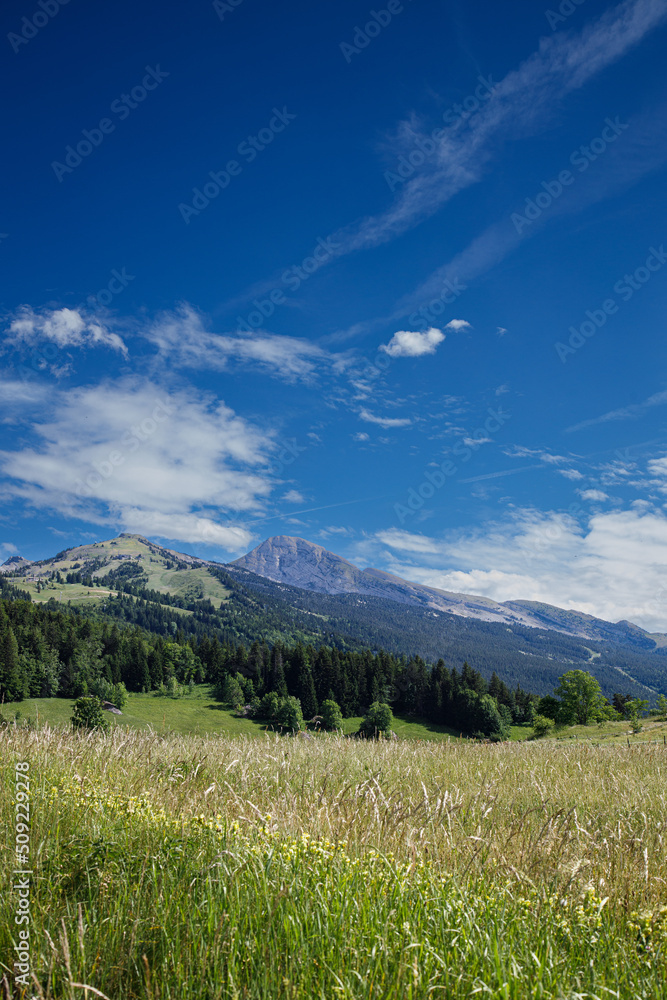 Le plateau du Vercors et la Grande Moucherolle au dessus de Villard De Lans