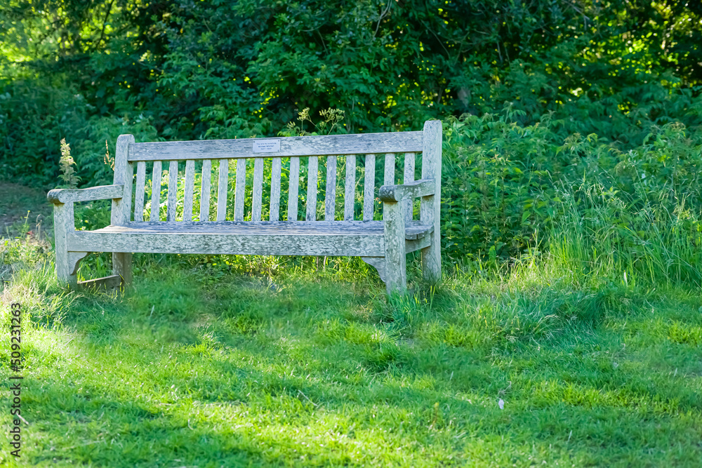 Lonely wooden bench in bright green grass. Bench in the garden. A bench in the forest. Bench in the field. Lonely wooden bench in bright green grass. Bench in the garden. A bench in the forest. Bench in the field.