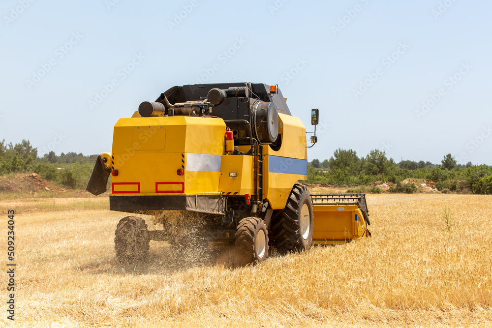 Fototapeta premium Combine harvester harvesting barley fields.Agricultural machinery
