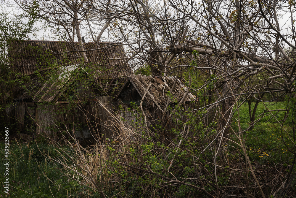 Summer village. A house in the village. A rustic abandoned house on a sunny day with an overgrown garden. Summer village. A house in the village. A rustic abandoned house on a sunny day with an overgrown garden.