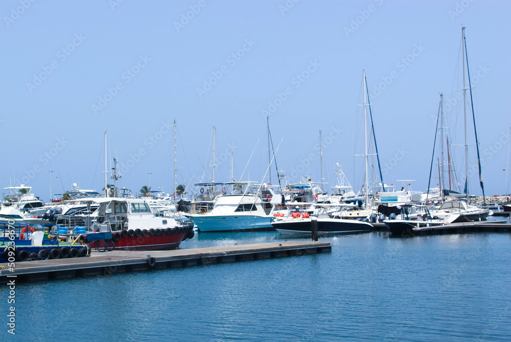 yachts in marina