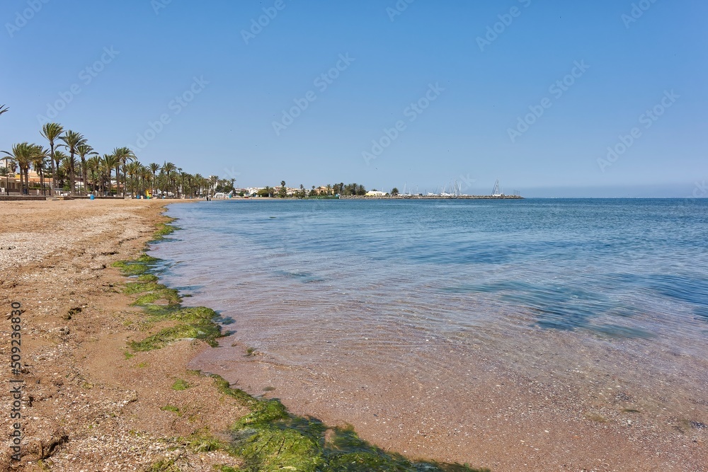 Beach in the Mar Menor area dirty with many greenish algae that are the ones that cause the phenomenon of hypoxia inside the sea causing an ecological disaster