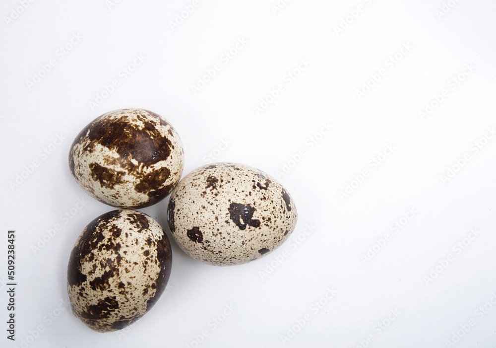 Three quail eggs with a lot of imperfect dark spots on a smooth, ideal oval surface of a healthy non cholesterol bio product are situated in left corner on white background.