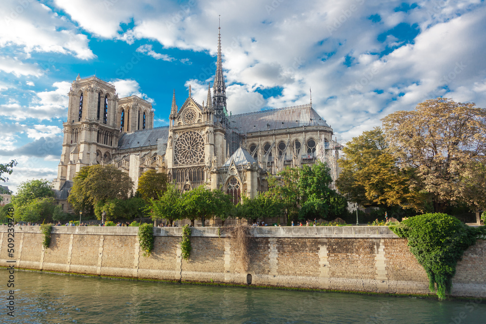 Obraz premium Notre Dame de Paris