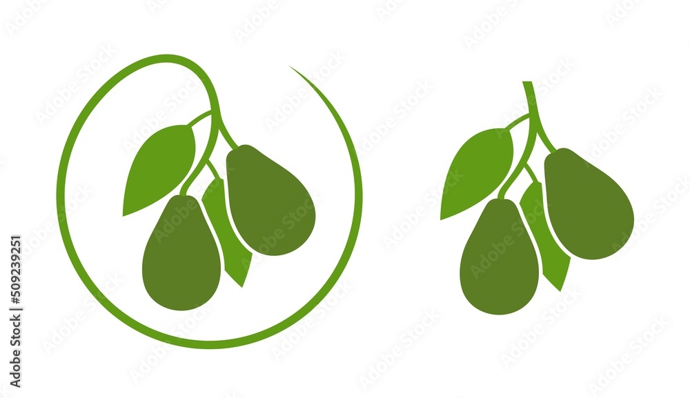 Avocado logo. Isolated avocado on white background Avocado logo. Isolated avocado on white background