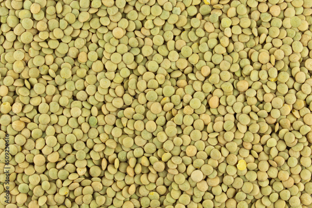 Uncooked lentils background texture. Healthy nutritious food Uncooked lentils background texture. Healthy nutritious food