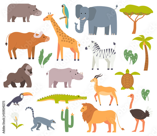 Set of african animal, birds and plants. Africa lion, giraffe, hippo, zebra, palm tree and cactus