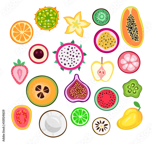 Exotic fruits slices set. Lychee, passion fruit, feijoa, longan, papaya, guava, fig, mango, pitaya