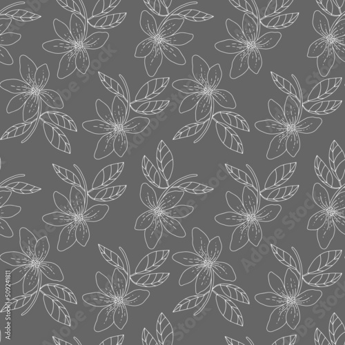 Botanical seamless pattern. Magnolia flowers on branches with leaves. Hand drawn line art print . Vector