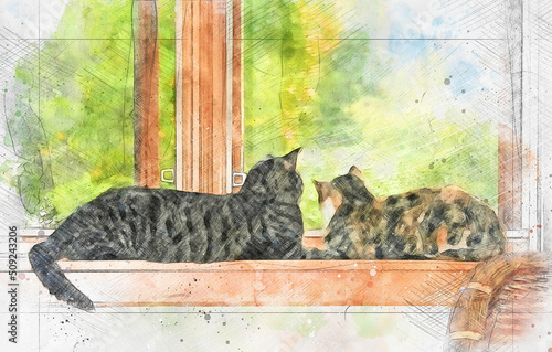 Digitally enriched photograph of an brown/grey tabby and calico cat looking out a window. The technique used creates a faux watercolour effect giving the image an overall artistic impression.