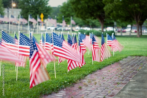 Rows of American flags flying in the breeze for Flag Day
