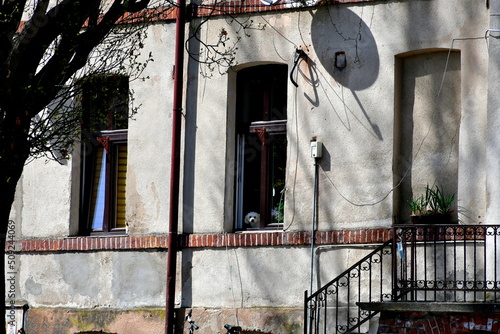 A view of an old house with some wooden windoes and stairs and with a small white dog sitting in one of the holes looking at the tree spotted on a sunny summer day in Poland during a hike photo