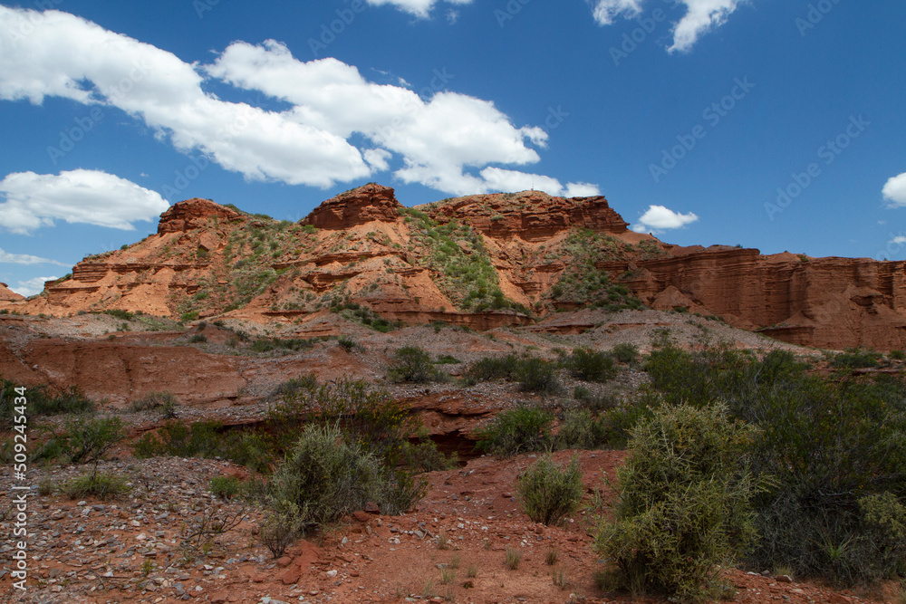 The red canyon. View of the sandstone cliffs and desert in a sunny day in Sierra de las Quijadas national park. 