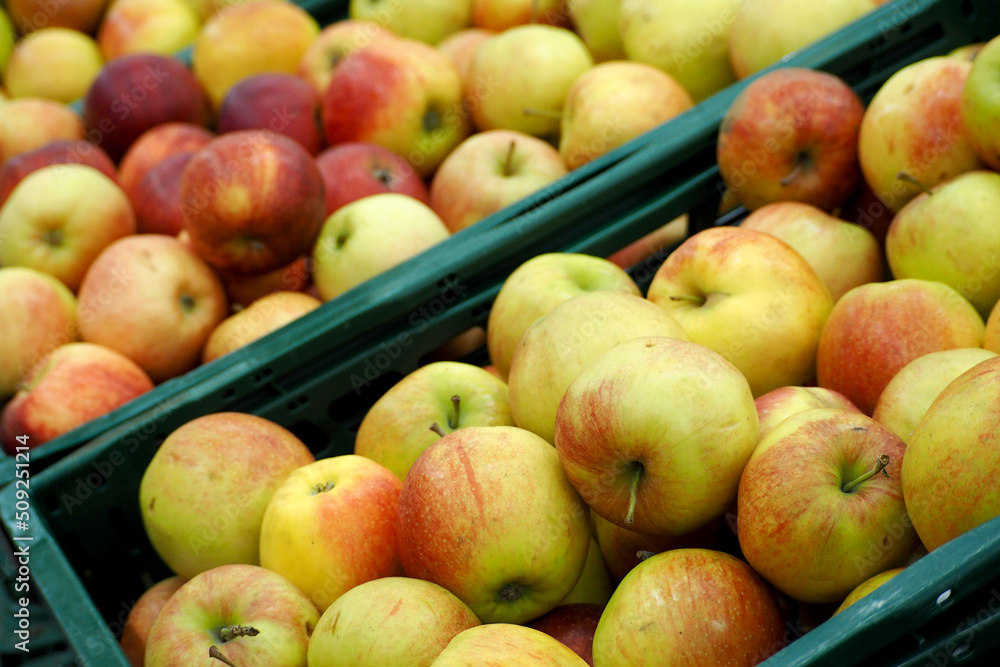 there are a lot of yellow apples in green plastic boxes. supermarket. side view