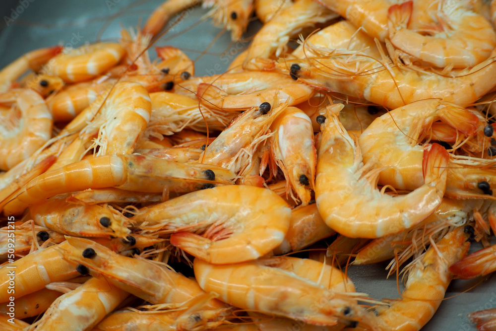 a lot of welded medium-sized shrimp. seafood. diet a lot of welded medium-sized shrimp. seafood. diet