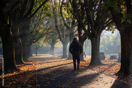 A person walking in the park - Fitzgerald's Park - Cork - Ireland © edfitzgerald