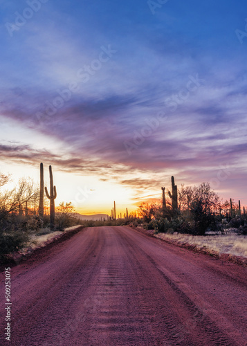 Φωτογραφία Dirt road leading through saguaro cacti at sunset