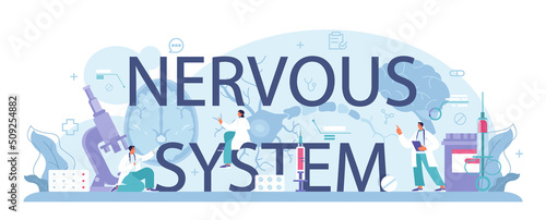 Nervous system typographic header. Doctor examine and treat human