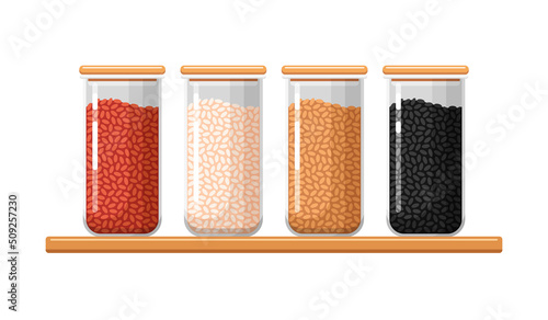 Kitchen food storage jars with white, red, brown, black rice. Closed transparent glass or plastic containers for dry bulk products. Set of vector isolated colorful illustrations