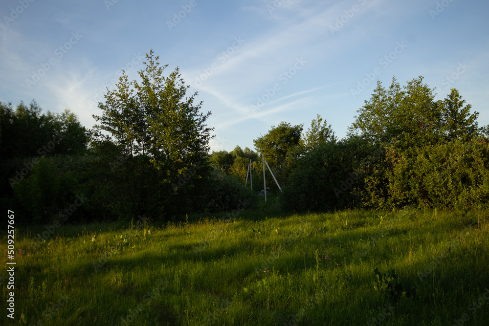 Obraz premium landscape with trees