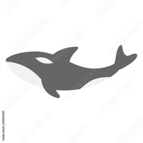 Orca killer whale icon design template vector illustration