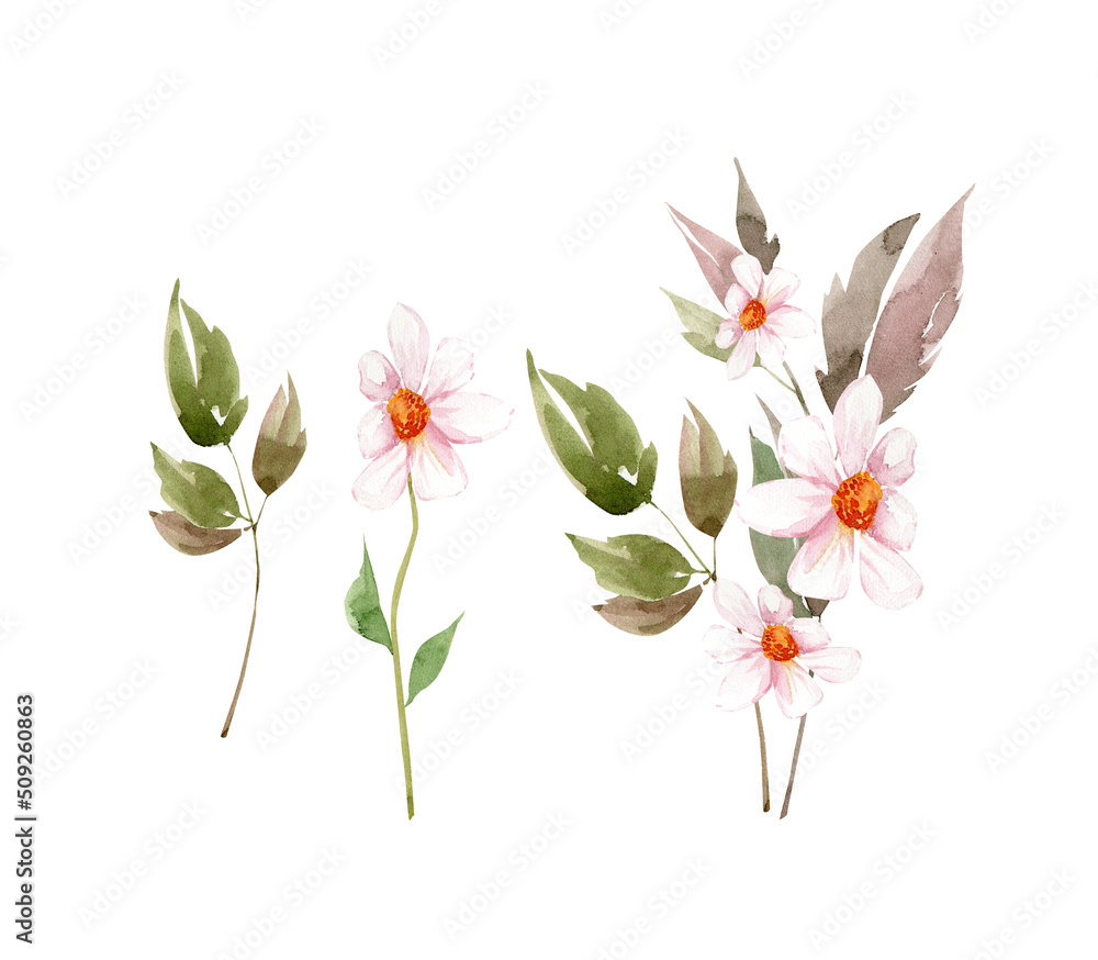 Obraz premium set of watercolor illustrations of white flowers and bouquets. hand painted for design and invitations.