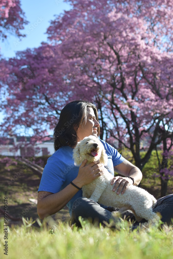 Petalos rosados y mi amigo perruno Petalos rosados y mi amigo perruno