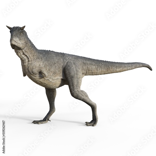 3d-illustration of an isolated dinosaur carnotaurus © Ralf Kraft