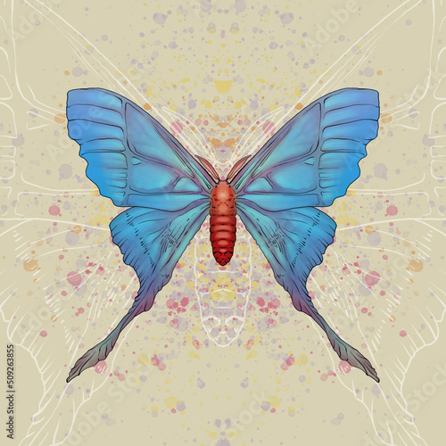 Mariposa de cuerpo rojo y alas azules  violetas y verdes sobre fondo salpicado. Insecto volador brillante y luminoso.