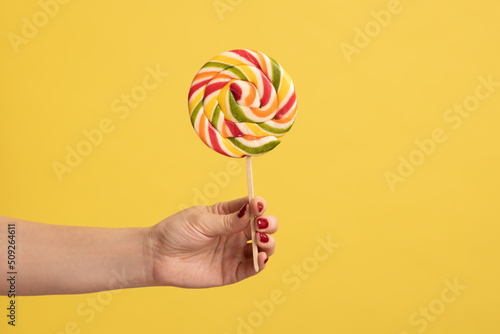 Closeup of woman hand holding appetizing round rainbow candy on stick, big lollipop in arm, confectionery advertising, glucose sweet foods. Indoor studio shot isolated on yellow background.