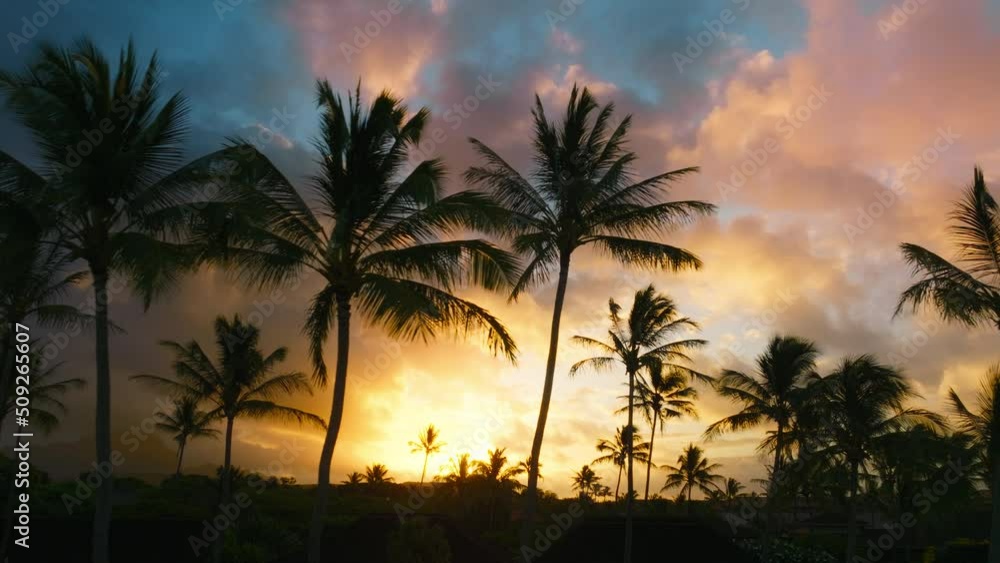 Cinematic dolly shot of colorful clouds in pink, golden purple colors highlighted by sunset or sunrise sunlight on tropical Hawaii island. Scenic dark silhouettes of palm trees against epic sunrise 4K Cinematic dolly shot of colorful clouds in pink, golden purple colors highlighted by sunset or sunrise sunlight on tropical Hawaii island. Scenic dark silhouettes of palm trees against epic sunrise 4K